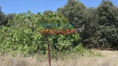 Rustic farm in Peraleda de la Mata photo 6