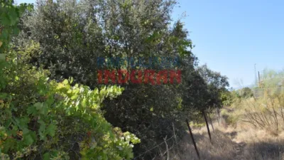 Rustic farm in Peraleda de la Mata photo 8