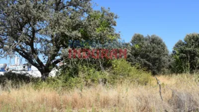 Rustic farm in Peraleda de la Mata photo 9