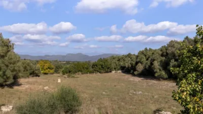 Rustic house in Algaida photo 18
