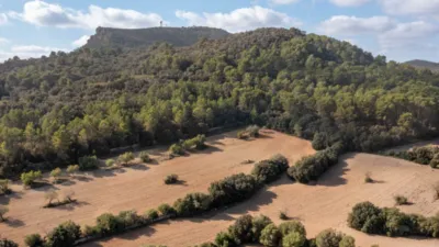 Rustic house in Algaida photo 21