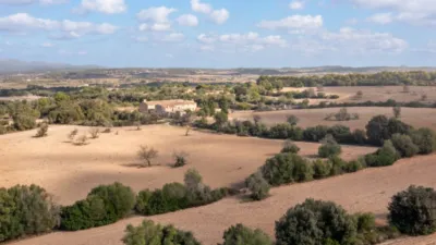 Rustic house in Algaida photo 22
