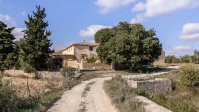 Rustic house in Algaida photo 3