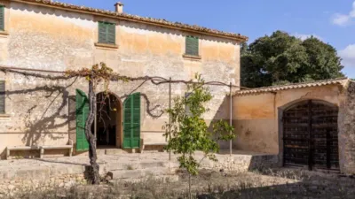 Rustic house in Algaida photo 5