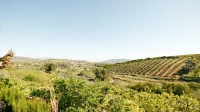 Rustic Finca in Coín photo 5