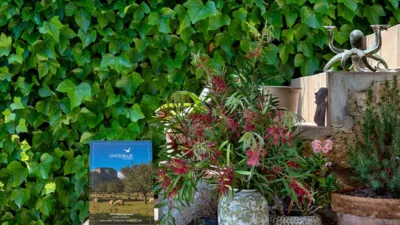 Rustic house in L'Esgleieta photo 23