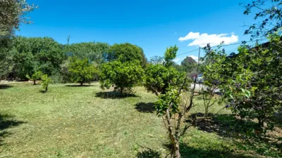 Rustic house in L'Esgleieta photo 4