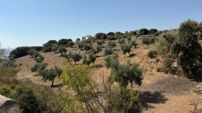 Rustic Finca in Alhama de Granada photo 12