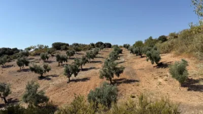 Rustic Finca in Alhama de Granada photo 13