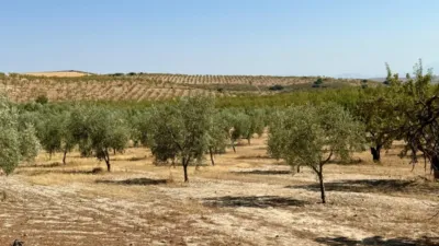 Rustic Finca in Alhama de Granada photo 2
