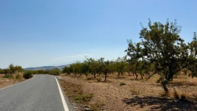 Rustic Finca in Alhama de Granada photo 3