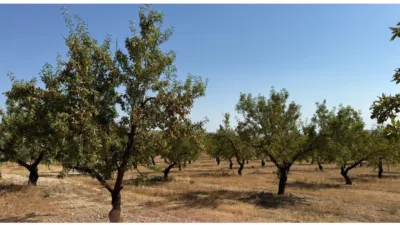 Rustic Finca in Alhama de Granada photo 6