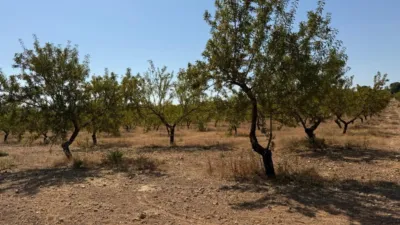 Rustic Finca in Alhama de Granada photo 9