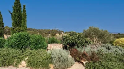 Rustic house in Algaida photo 23