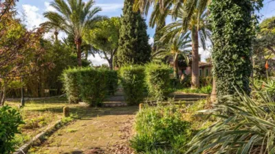 Rustic house in Binissalem photo 18