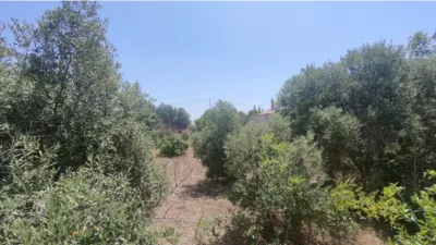 Rustic Finca in La Pinilla photo 6