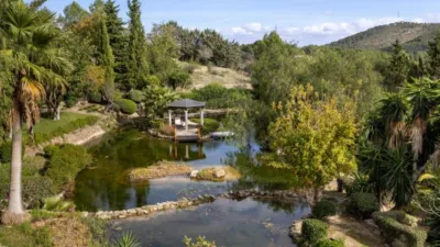 Rustic House in Establiments photo 20