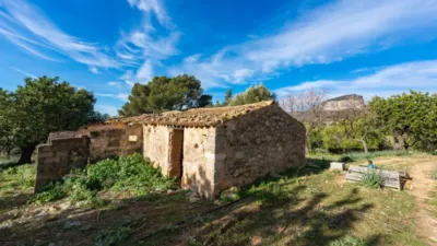 Rustic house in Alaró photo 8