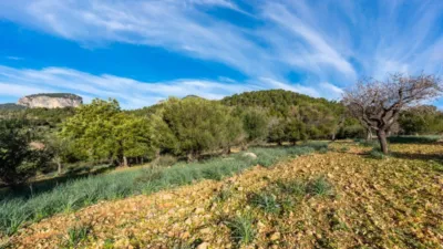 Rustic house in Alaró photo 9