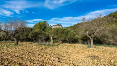 Rustic house in Alaró photo 10