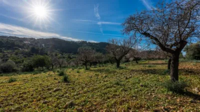 Rustic house in Alaró photo 11