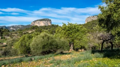 Rustic house in Alaró photo 3