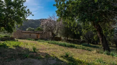 Rustic house in Alaró photo 5