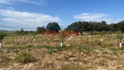 Finca rústica en venta en Belvís de Monroy - Més