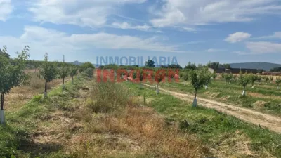 Rustic farm in Belvís de Monroy photo 6