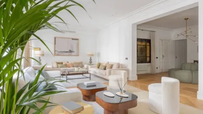 Apartment in the Salamanca District photo 5