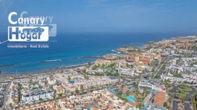 Apartment in Playa de Fañabé