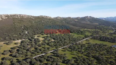 Finca rústica en venta en Deleitosa - Vista 4