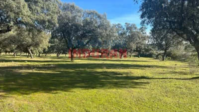 Finca rústica en venta en Deleitosa - Vista 5