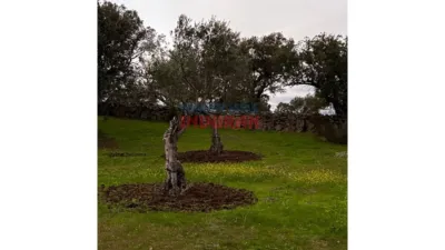 Finca rústica en venta en Valdehúncar - Vista 4