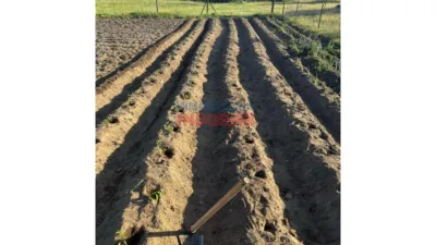 Finca rústica en venta en Valdehúncar - Más