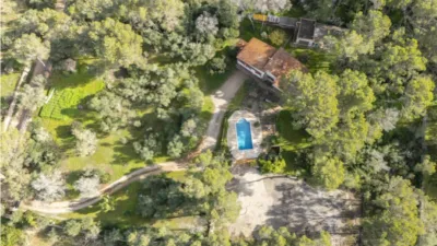 Rustic house in Algaida photo 19