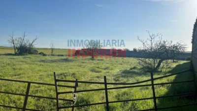 Finca rústica en Peraleda de la Mata photo 5