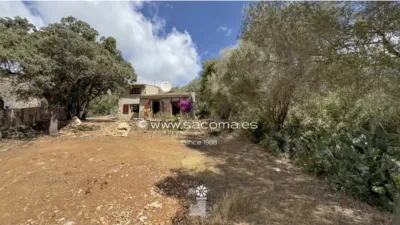 Rustic Finca in Son Servera photo 25
