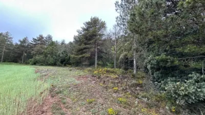 Rustic Farm in El Toro photo 12