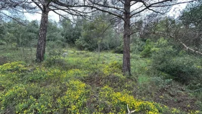 Rustic Farm in El Toro photo 15