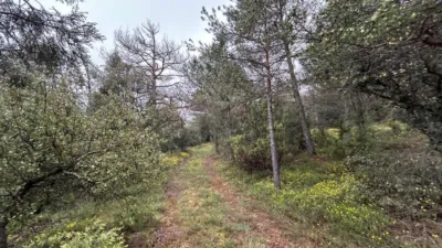Rustic Farm in El Toro photo 16