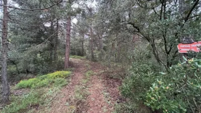 Rustic Farm in El Toro photo 18