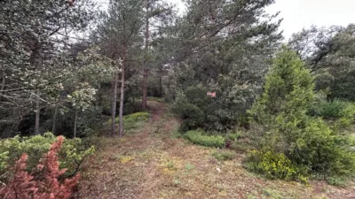 Rustic Farm in El Toro photo 19