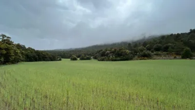 Rustic Farm in El Toro