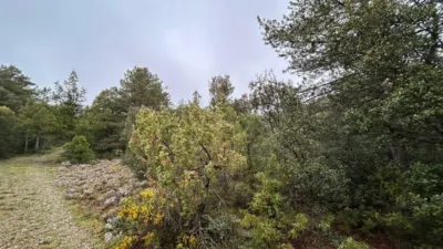 Rustic Farm in El Toro photo 20