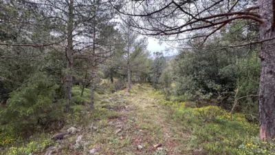 Rustic Farm in El Toro photo 21