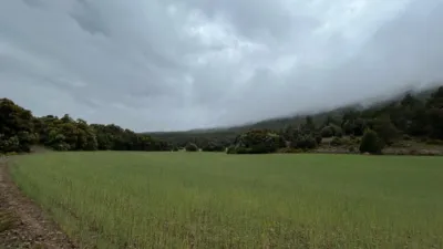 Rustic Farm in El Toro photo 22