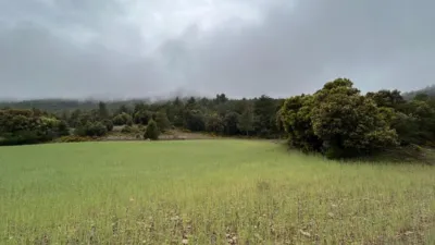 Rustic Farm in El Toro photo 23