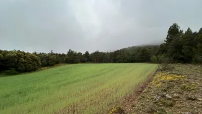Rustic Farm in El Toro photo 2