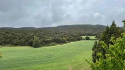 Rustic Farm in El Toro photo 36
